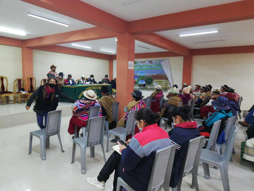 Planes Escolares De Salud Ocular Con Enfoque Inclusivo En Oruro Ulls